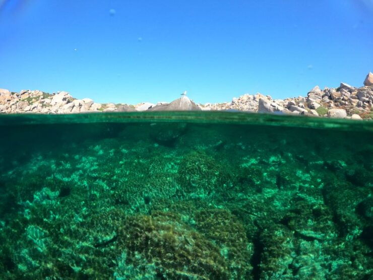 Try Scuba Diving Without a Certification in Villasimius - Booking Details