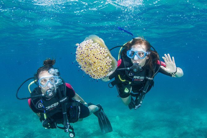 Try Scuba in Crete  Free Certification & Photos (Beginners) - Why Choose This Crete Try Scuba Tour?