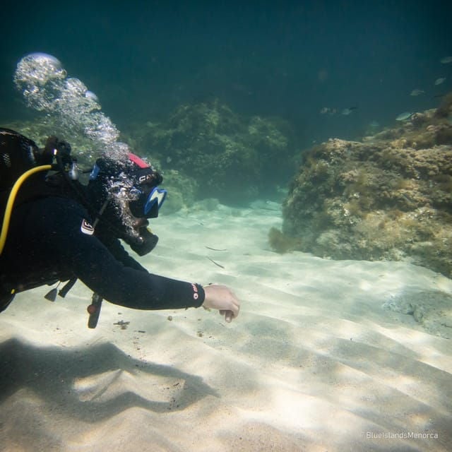 Try Scuba Menorca: Your First Underwater Breath in the Ocean - The Importance of Safety in Scuba Diving