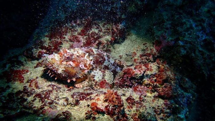 Try Scuba Menorca: Your First Underwater Breath in the Ocean - Dive Into the Blue Islands of Cala Galdana