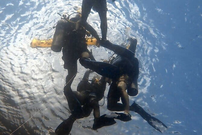 TRY SCUBA (SSI Basic Diver) Your First Dive Experience in Bali - The Itinerary Breakdown