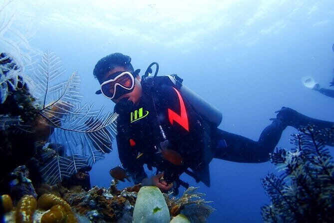 TRY SCUBA (SSI Basic Diver) Your First Dive Experience in Bali - Frequently Asked Questions
