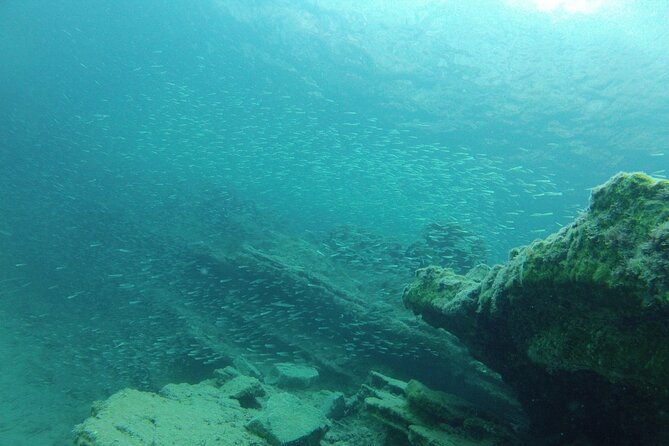 Try Snorkeling in the Sea With the Blue Dolphin Team - Meeting and Pickup Information