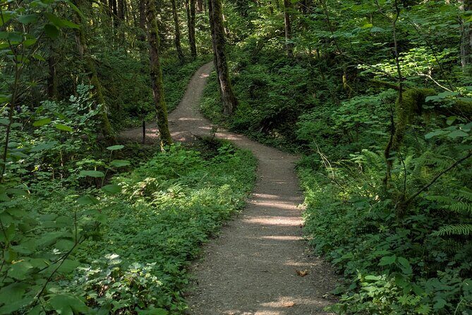 Tryon Creek Eco-tour With a Master Naturalist - What You Can Expect from the Tryon Creek Eco-tour