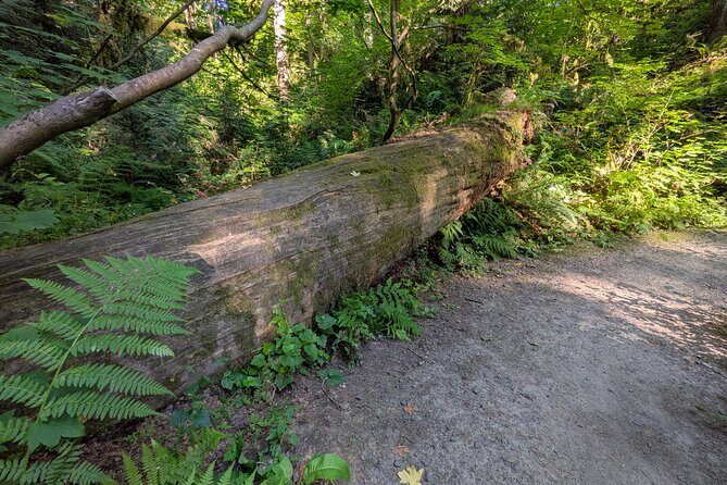 Tryon Creek Eco-tour With a Master Naturalist - FAQ