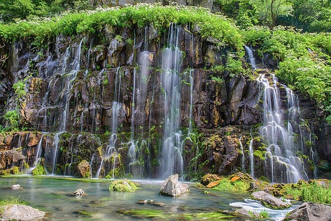 Tsalka Canyon Private Tour (Dashbashi) - Pickup Information