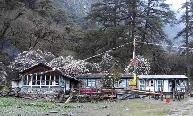 Tserko Ri: A Hikers Ultimate Challenge in Langtang Region - Key Points