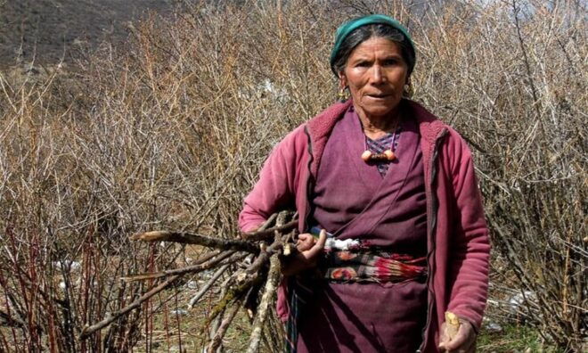 Tserko Ri: A Hikers Ultimate Challenge in Langtang Region - Detailed Trekking Itinerary
