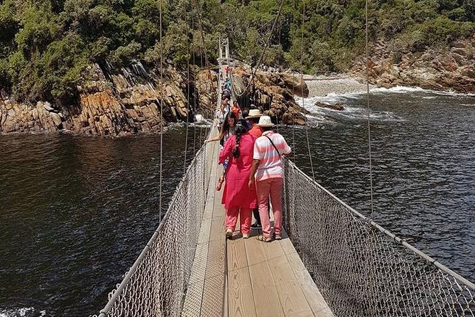 Tsitsikamma Day Tour With Well-Known Guide - Tour Highlights