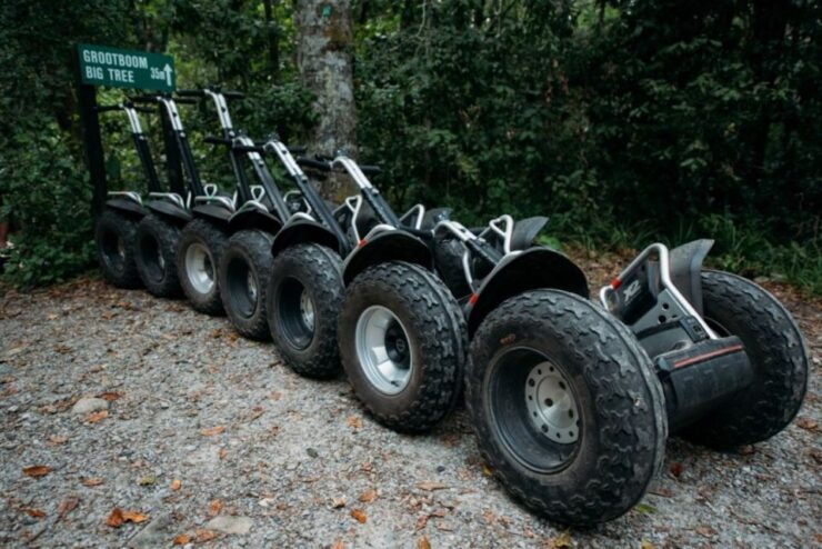 Tsitsikamma National Park: 1 or 2-Hour Segway Tour - Tour Details