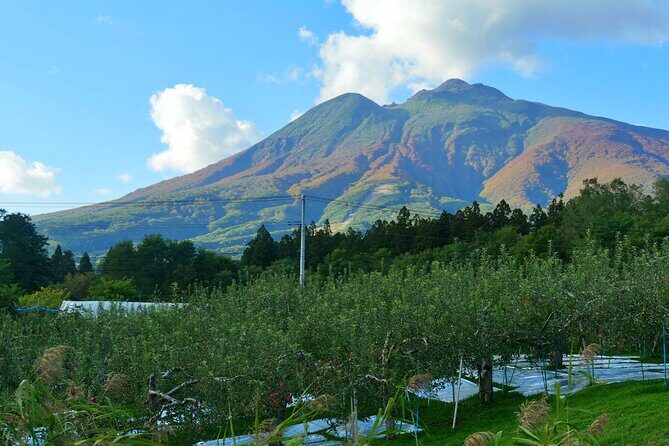 Tsugaru Fuji and Japan Sea Drive Tour by Car from Aomori Port - Who Will Love This Tour?