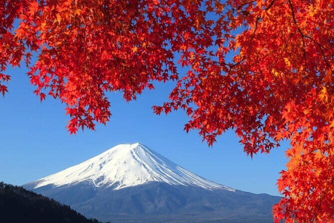 Tsukiji Fish Market Private Food Tour in Tokyo - Practical Details: Duration, Price, and Accessibility