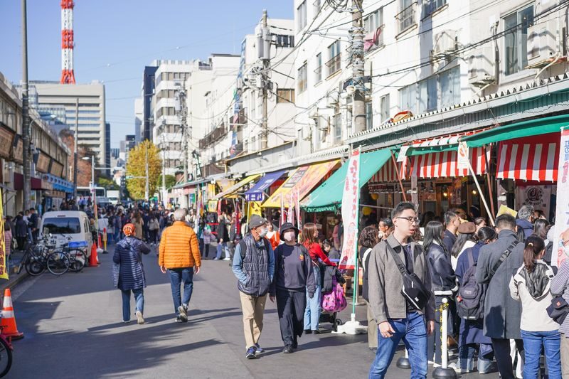Tsukiji Fish Market Tour: Behind the Scenes & 10 Seafood Tastings - Browse knives, pottery, and market food