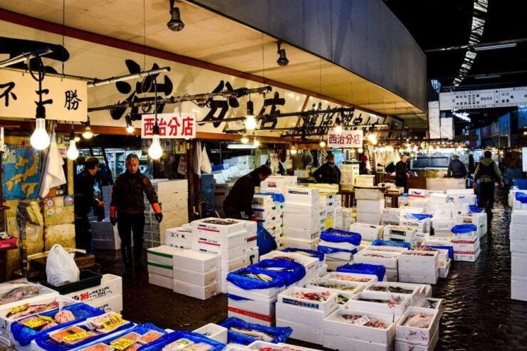 Tsukiji Fish Market Tour - Location and History