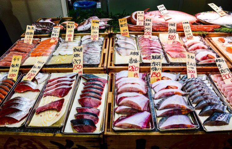 Tsukiji Fish Market Tour - Tuna Auction