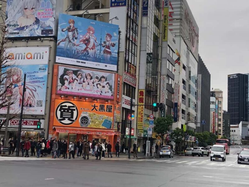 Tsukiji Fish Market Walk + Akihabara Pop Culture Explore - Authentic Experiences That Resonate