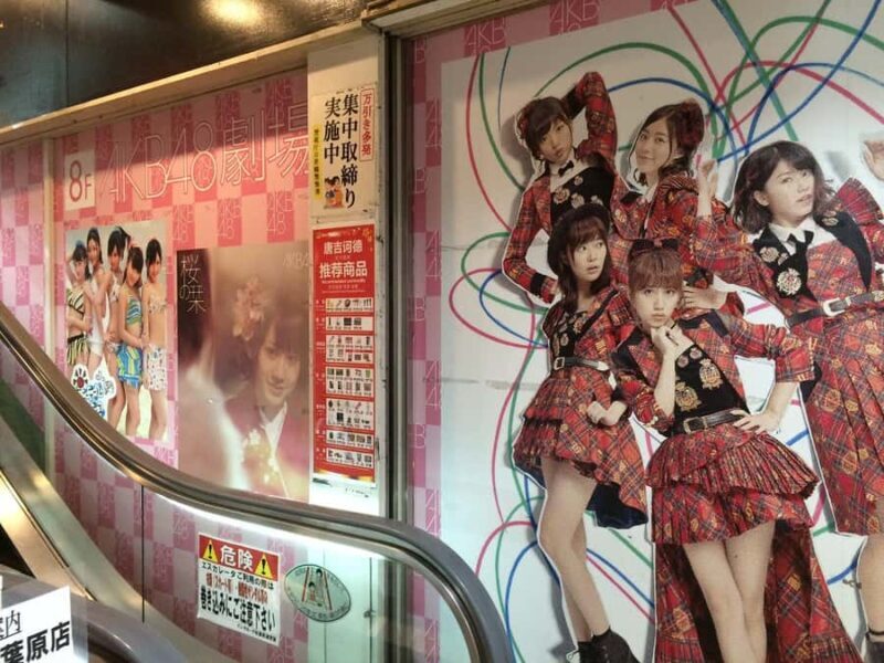 Tsukiji Fish Market Walk + Akihabara Pop Culture Explore - FAQ