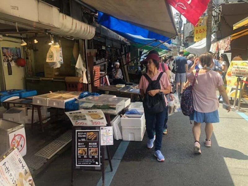 Tsukiji Fish Market Walk + Akihabara Pop Culture Explore - Final Thoughts