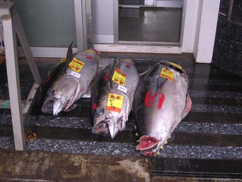 Tsukiji Fish Market Walk + Akihabara Pop Culture Explore - Source