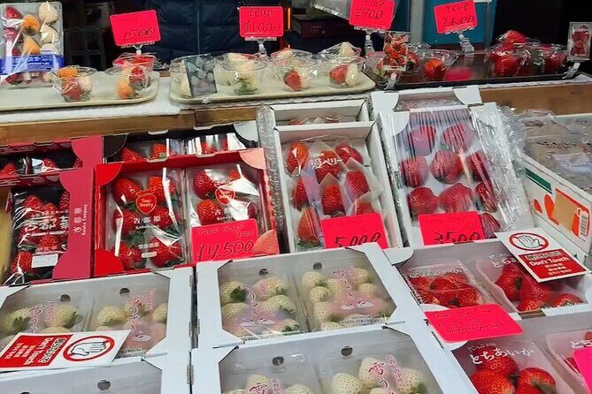 Tsukiji Food Strolling and Hama Rikyu Garden Walking Tour - Exploring the Itinerary in Detail