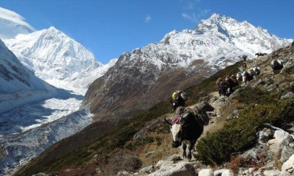 Tsum Valley Trek: Exploring the Hidden Gem - Questions You May Have