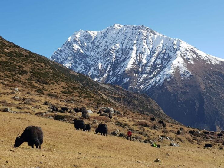 Tsum Valley Trek in Nepal - 14 Days - Daily Itinerary
