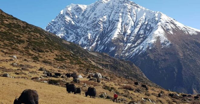 Tsum Valley Trek in Nepal - 14 Days - Inclusions and Exclusions