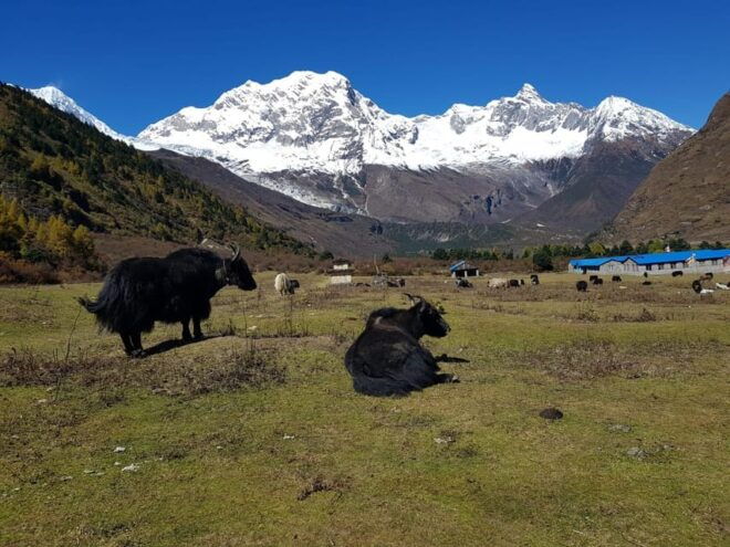 Tsum Valley Trek in Nepal - 14 Days - Packing Essentials