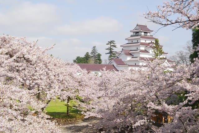 Tsurugajo Castle (Aizu-Wakamatsu Castle) Admission Ticket in Aizuwakamatsu - A fortress at the heart of Aizu