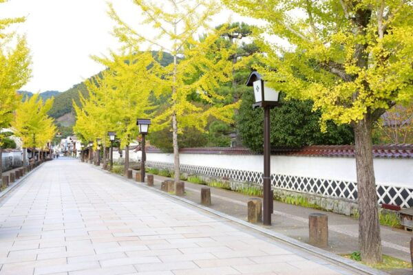 Tsuwano Old Town Tour - Meeting Point Information