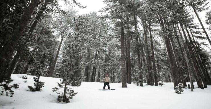 TTAG Greek Winter Backcountry Expedition - Activity Details and Booking Information