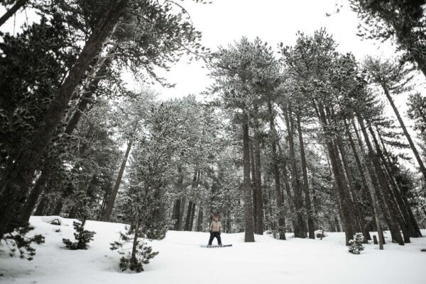 TTAG Greek Winter Backcountry Expedition - Common Questions