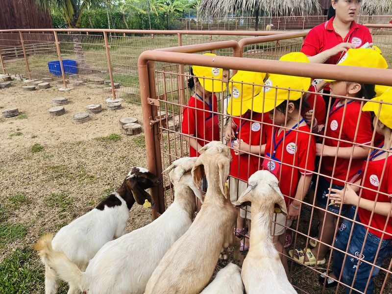 TTC Mekong Aqua Park Ben Tre Ticket - What to expect from service and atmosphere