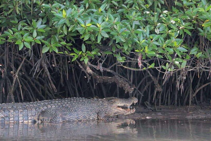 Tuaran, Sabah: Mengkabong Paradise - Exploring the Mengkabong Paradise Tour