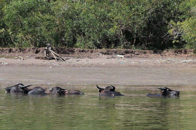 Tuaran, Sabah: Mengkabong Paradise - Good To Know