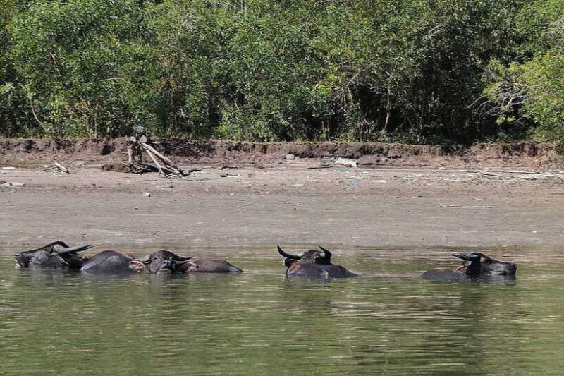 Tuaran, Sabah: Mengkabong Paradise - The Sum Up