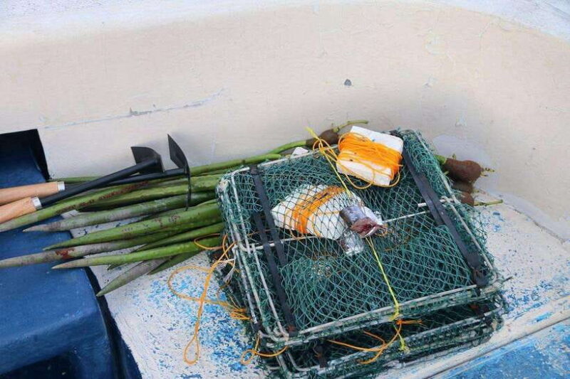 Tuaran, Sabah: Mengkabong Paradise - FAQ