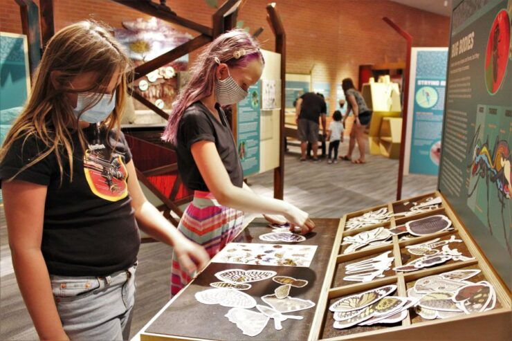 Tucson: Flandrau Science Center Entry Ticket - Ticket Details