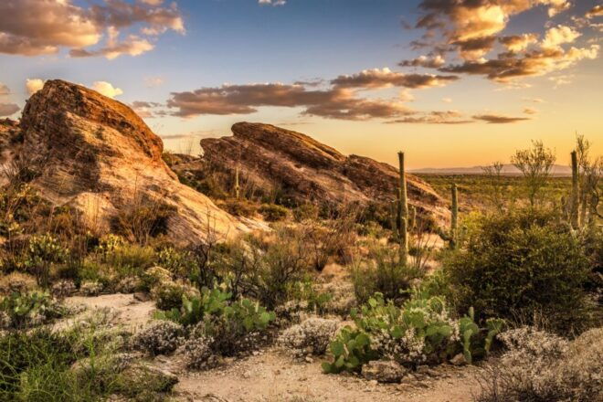 Tucson: Mt Lemmon & Saguaro NP Self-Guided Bundle Tour - Tour Inclusions