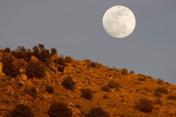 Tucson: Mt Lemmon & Saguaro NP Self-Guided Bundle Tour - Frequently Asked Questions