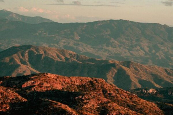 Tucson: Mt Lemmon & Saguaro NP Self-Guided Bundle Tour - The Sum Up