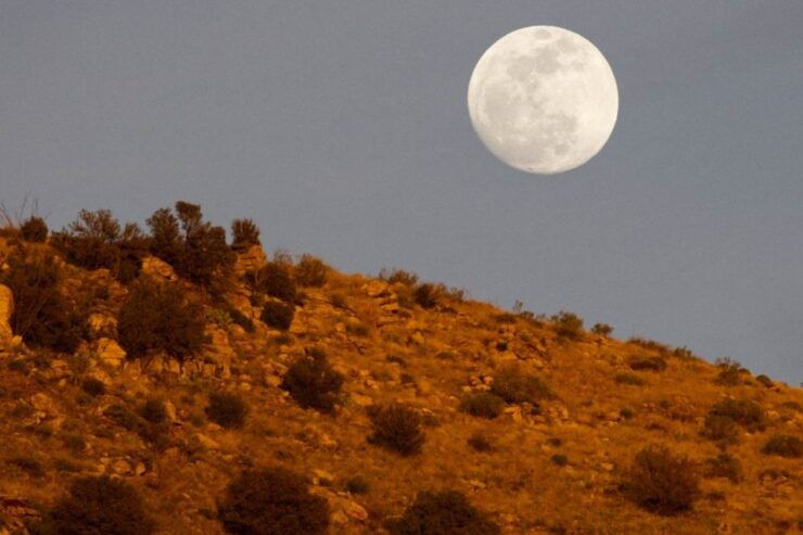 Tucson: Mt Lemmon & Saguaro NP Self-Guided Bundle Tour - Tour Highlights
