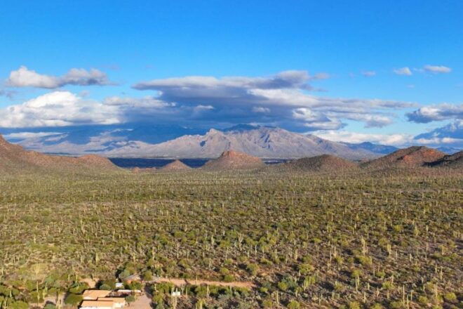 Tucson: Mt Lemmon & Saguaro NP Self-Guided Bundle Tour - Saguaro National Park Experience