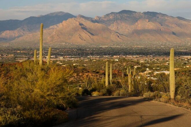 Tucson: Mt Lemmon & Saguaro NP Self-Guided Bundle Tour - Hidden Gems and Mysteries