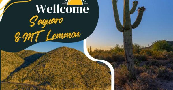 Tucson: Mt Lemmon & Saguaro NP Self-Guided Bundle Tour - Booking and Cancellation Information