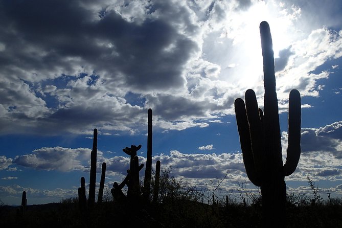 Tucson Scavenger Hunt Adventure - Explore Tucson Landmarks