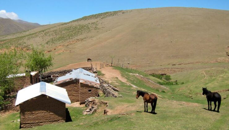 Tucumán: Tafí Del Valle Full Day Tour - Tour Experience