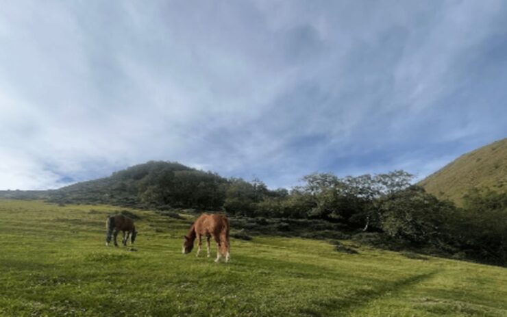 Tucumán: Tafí Del Valle - Good To Know