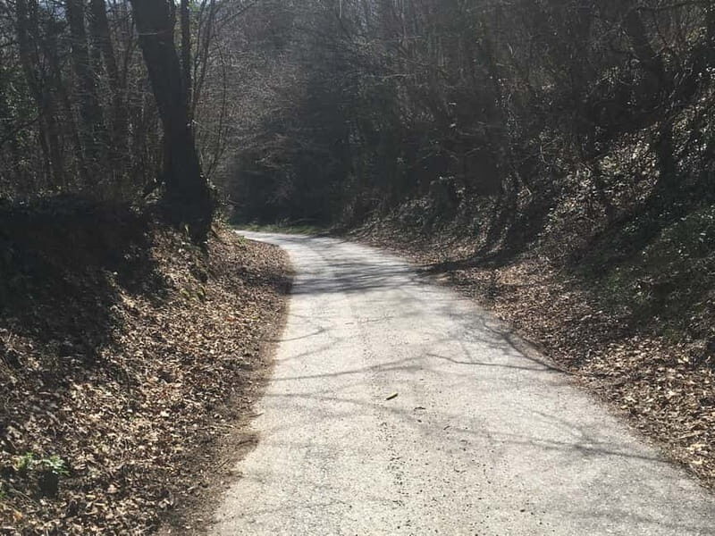 Tuheljske Toplice: Do Spomenika hrvatskoj majci pjeaenjem - Why This Tour Offers Great Value