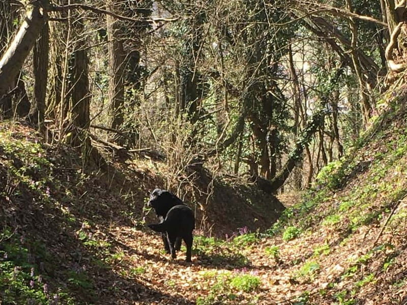 Tuheljske Toplice: Do Spomenika hrvatskoj majci pjeaenjem - FAQ